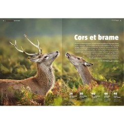 Cors et brame - Revue La Salamandre N°289