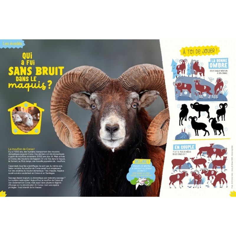 Les incroyables destins sauvages - Salamandre Junior - Hors Série N°13