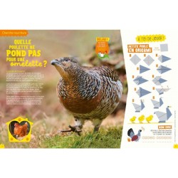 Les incroyables destins sauvages - Salamandre Junior - Hors Série N°13