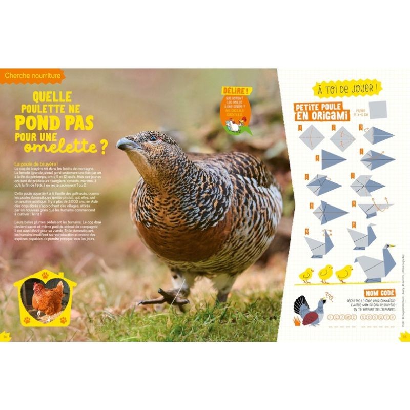 Les incroyables destins sauvages - Salamandre Junior - Hors Série N°13