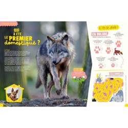 Les incroyables destins sauvages - Salamandre Junior - Hors Série N°13