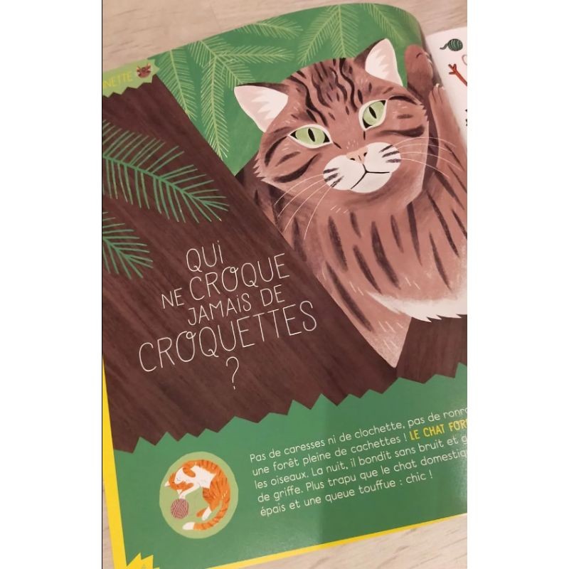 Les p’tits sauvages - Petite Salamandre - Hors Série N°13