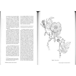 Epidémies, pandémies et plantes médicinales