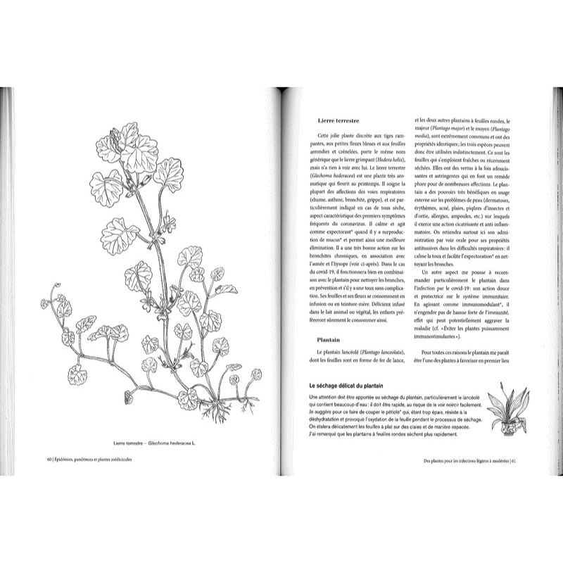 Epidémies, pandémies et plantes médicinales