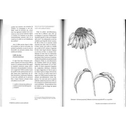 Epidémies, pandémies et plantes médicinales