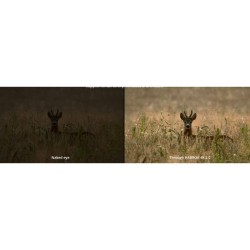 Hikmicro - Hikmicro Habrok 2.0 - Jumelles thermiques numériques