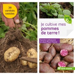 Je cultive mes pommes de terre !