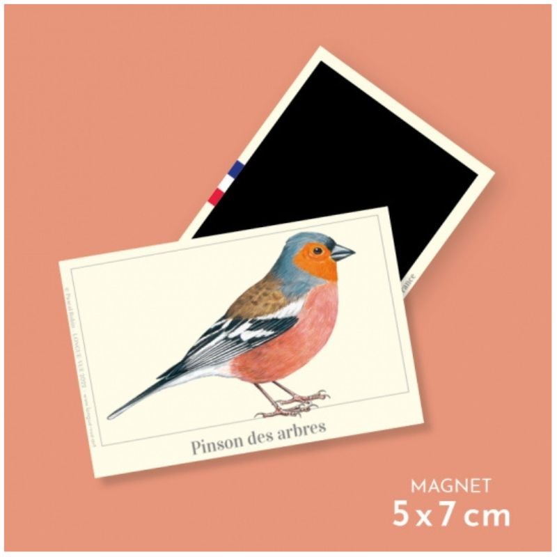 Magnet illustré - Pinson des arbres - 5,5x8cm