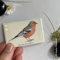 Magnet illustré - Pinson des arbres - 5,5x8cm