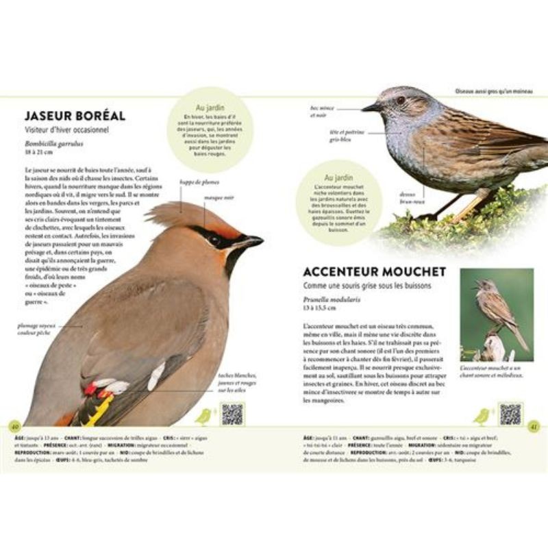 Reconnaître facilement les oiseaux du jardin - 70 oiseaux et leurs chants
