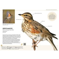 Reconnaître facilement les oiseaux du jardin - 70 oiseaux et leurs chants