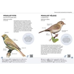 Reconnaître facilement les oiseaux du jardin - 70 oiseaux et leurs chants