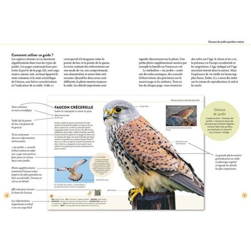 Reconnaître facilement les oiseaux du jardin - 70 oiseaux et leurs chants