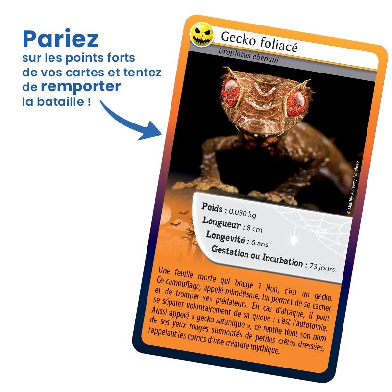 Jeu Défis Nature - Même pas peur ! Bioviva