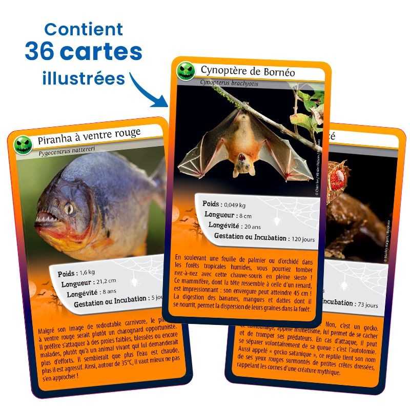 Jeu Défis Nature - Même pas peur ! Bioviva