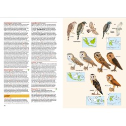 Birds of the Indonesian Archipelago - Greater Sundas and Wallacea