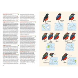 Birds of the Indonesian Archipelago - Greater Sundas and Wallacea
