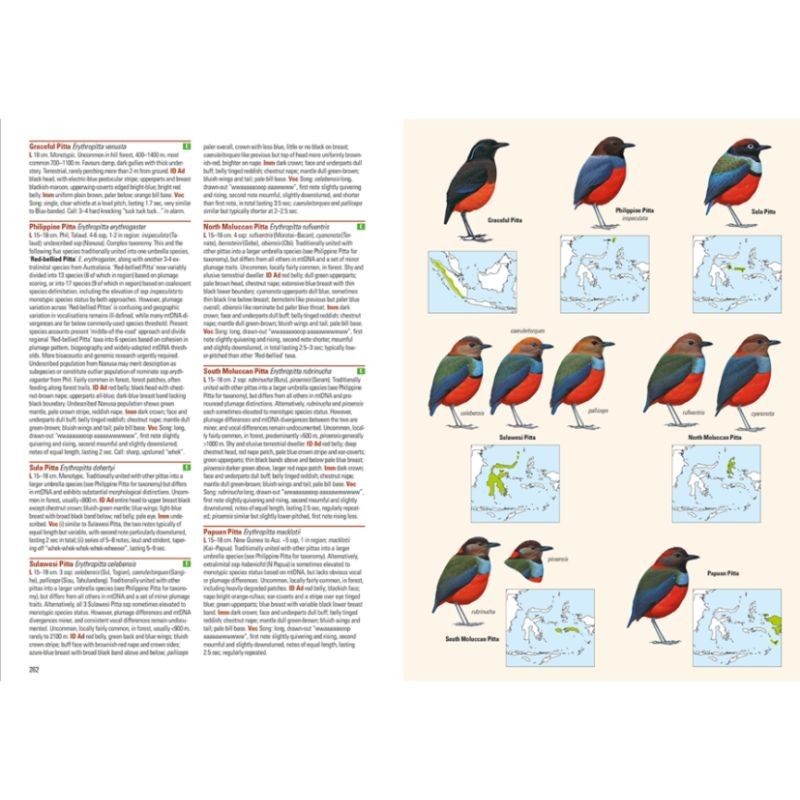 Birds of the Indonesian Archipelago - Greater Sundas and Wallacea