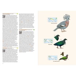 Birds of the Indonesian Birds of New Guinea - 2nd Edition - Including Bismarck Archipelago and Bougainville Archipelago