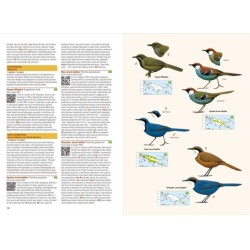 Birds of the Indonesian Birds of New Guinea - 2nd Edition - Including Bismarck Archipelago and Bougainville Archipelago