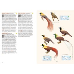 Birds of the Indonesian Birds of New Guinea - 2nd Edition - Including Bismarck Archipelago and Bougainville Archipelago