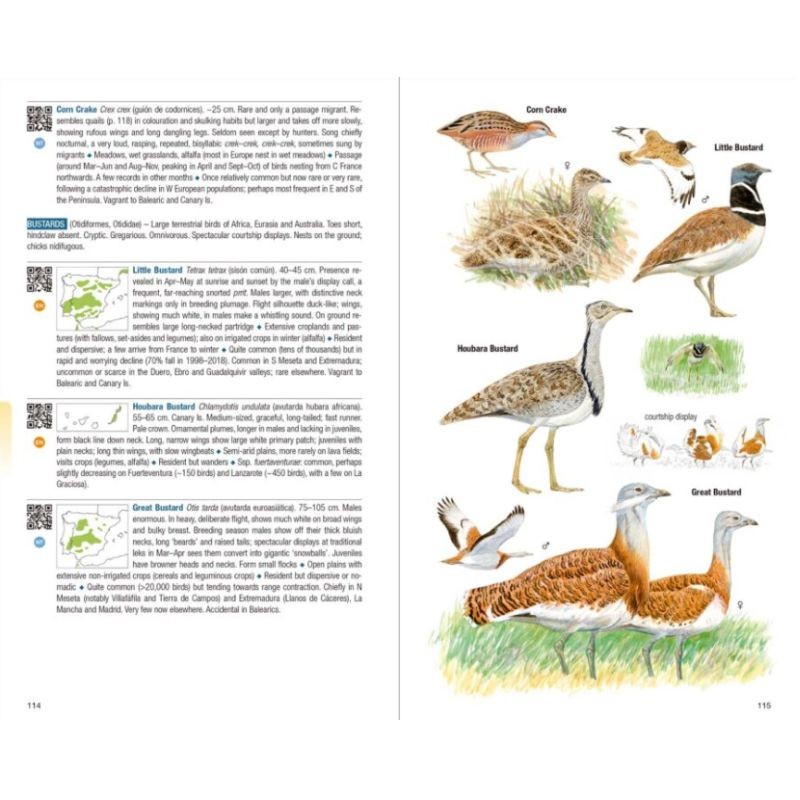 Birds of Spain - 2nd Edition