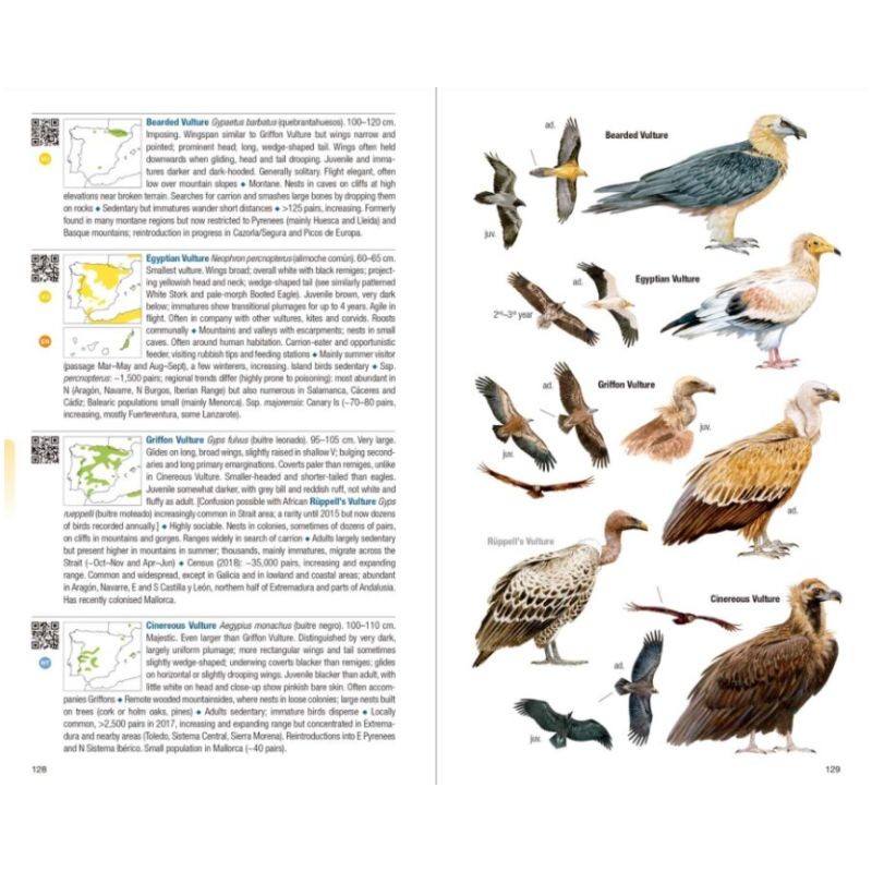 Birds of Spain - 2nd Edition