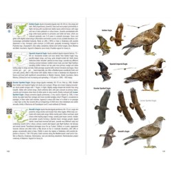 Birds of Spain - 2nd Edition