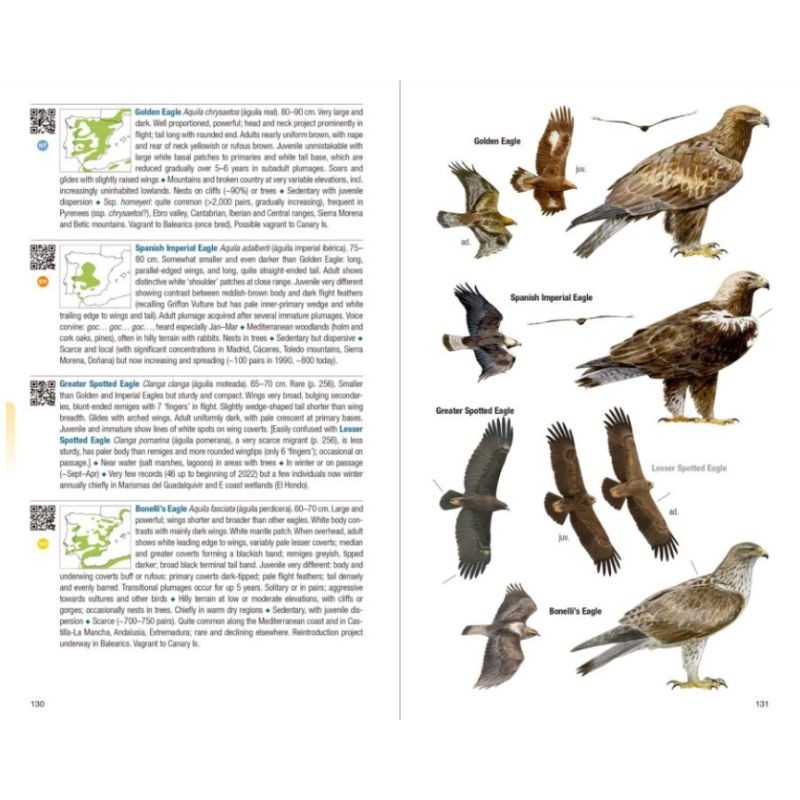 Birds of Spain - 2nd Edition