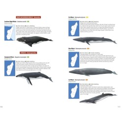 Mammals of Madagascar