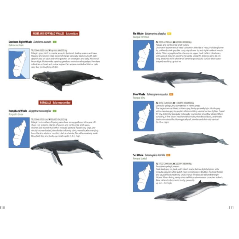 Mammals of Madagascar