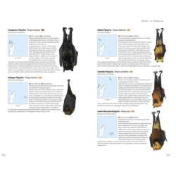 Mammals of Madagascar