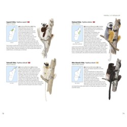 Mammals of Madagascar