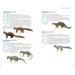 Mammals of Madagascar