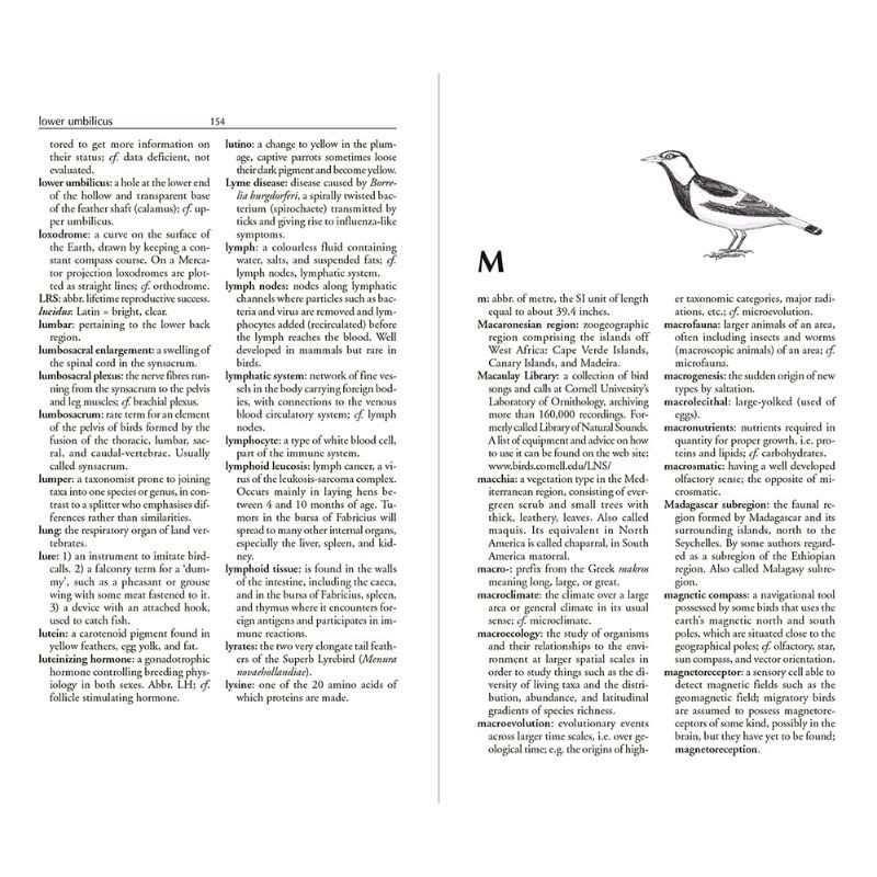 The Ornithologist’s Dictionary