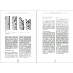 The Black Woodpecker - A monograph on Dryocopus martius