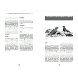 The Black Woodpecker - A monograph on Dryocopus martius