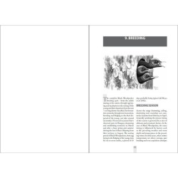 The Black Woodpecker - A monograph on Dryocopus martius