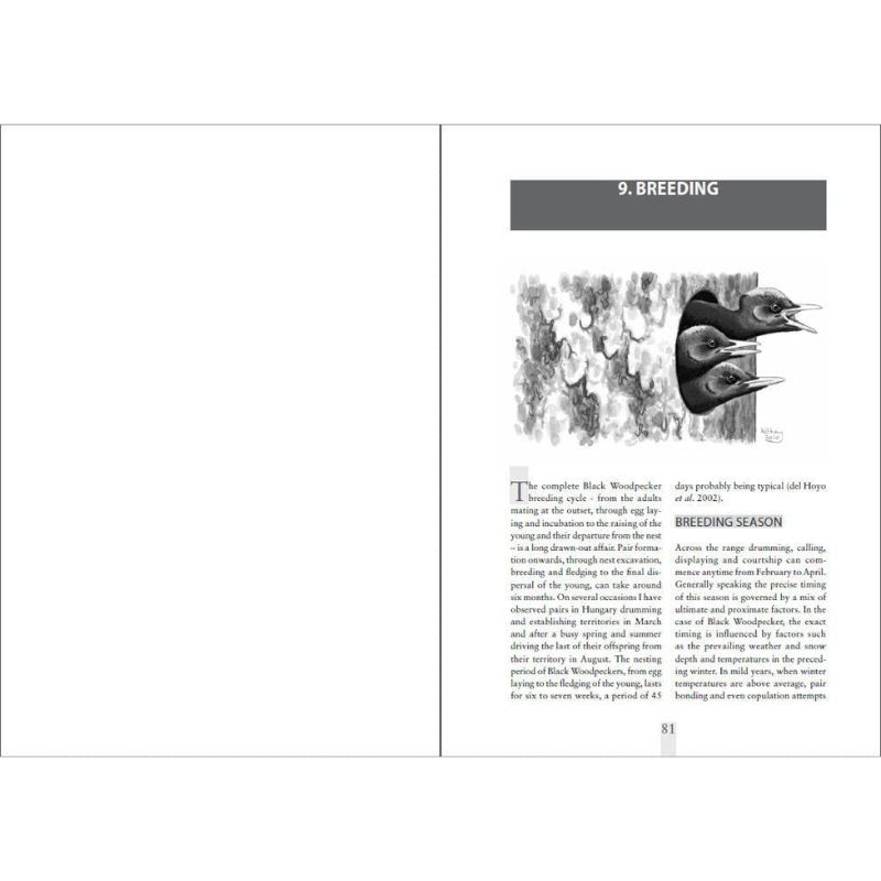 The Black Woodpecker - A monograph on Dryocopus martius