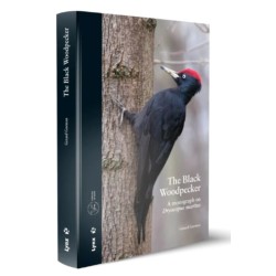 The Black Woodpecker - A monograph on Dryocopus martius