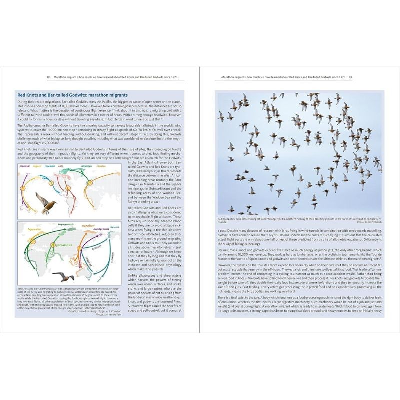 The East Atlantic Flyway of Coastal Birds