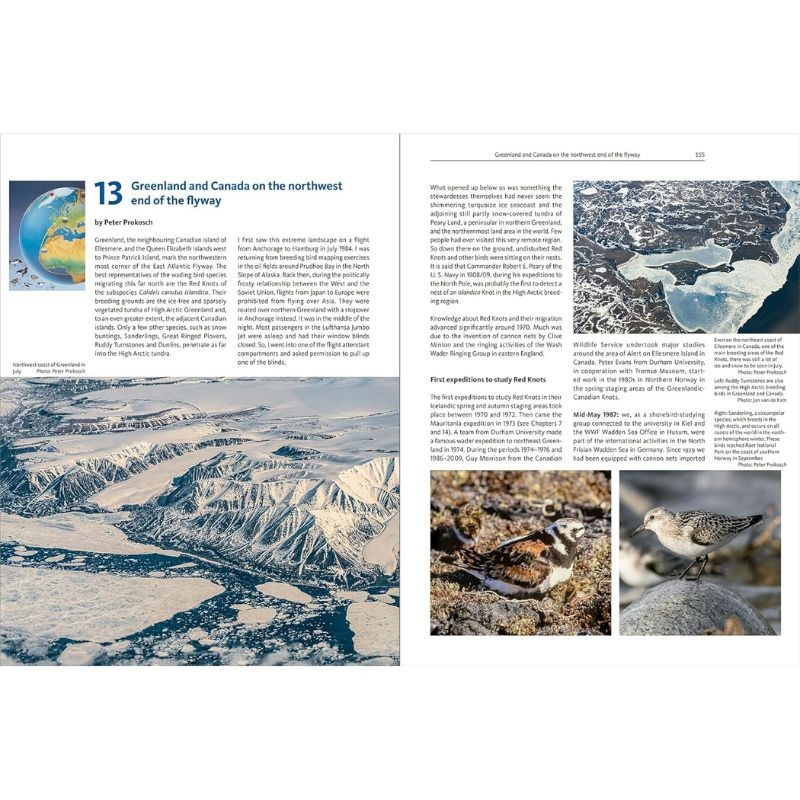 The East Atlantic Flyway of Coastal Birds