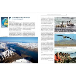 The East Atlantic Flyway of Coastal Birds