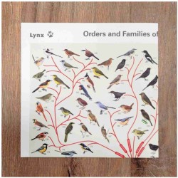 Poster (folded) - Orders and Families of the Birds of the World