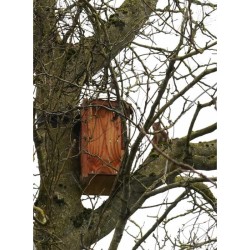 Abri à écureuils - Bois de sapin