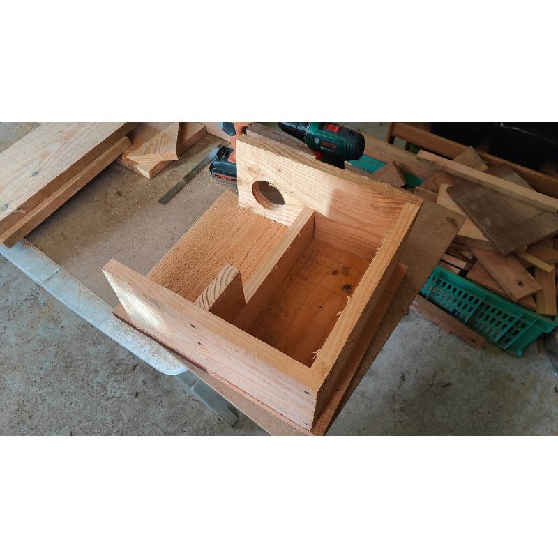 Abri à écureuils - Bois de sapin