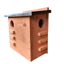 Abri à écureuils - Bois de sapin