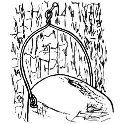 Nichoir 32mm avec protection contre prédateurs - Toit plat - Béton de bois - Schwegler (1B - 202/0)