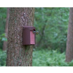 Nichoir 32mm avec protection contre prédateurs - Toit plat - Béton de bois - Schwegler (1B - 202/0)