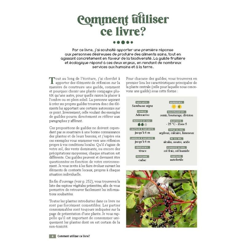 Créer des guildes d'abondance - Des arbres fruitiers et leurs plantes compagnes